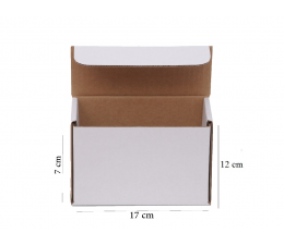 Carton Blanc 29x23x9